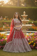 Anaita Red Net Lehenga Choli With Embroidery & Dori Sequence Work | Grocsy