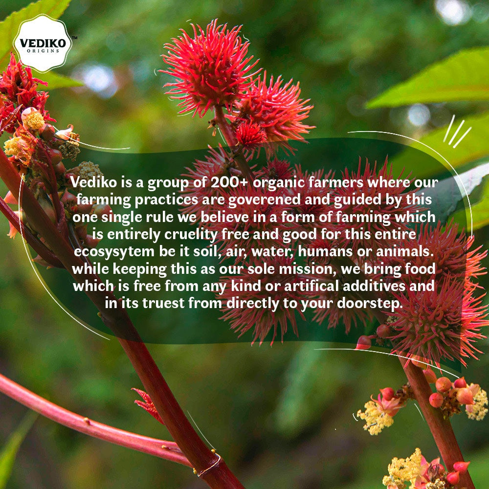 Vediko Origins Castor Oil | Grocsy