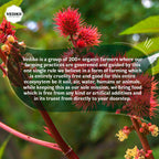 Vediko Origins Castor Oil | Grocsy