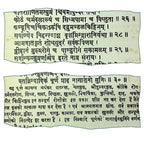 Songara Nimbadi Churna For Vatarakta | Grocsy