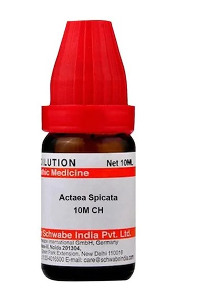 Dr. Willmar Schwabe India Actaea Spicata Dilution | Grocsy