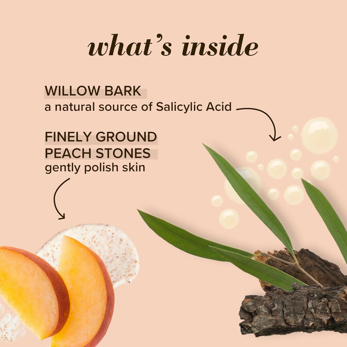 Burt's Bees Deep Pore Scrub with Peach & Willow Bark | Grocsy