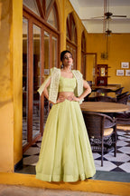 Lorenvalley Fashion Limegreen Allnen Crush Plain Lehenga Choli with Koti | Grocsy