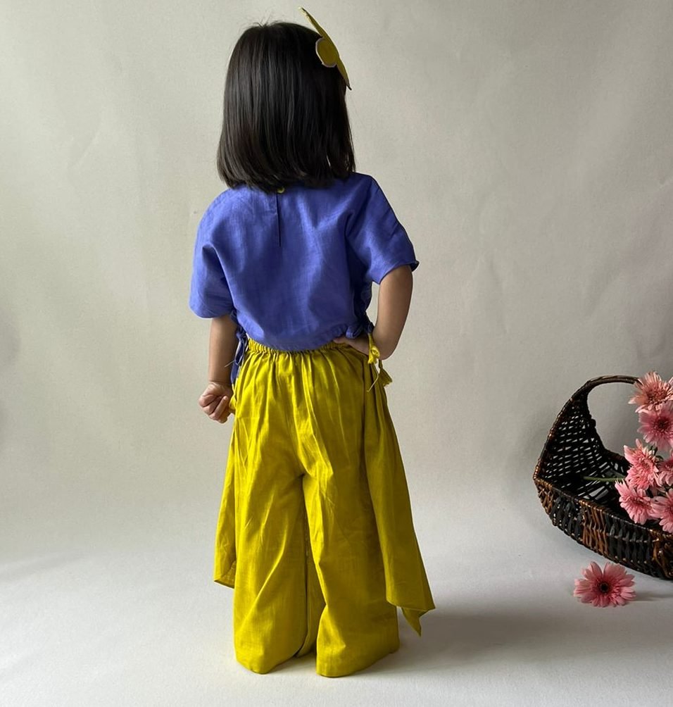 ArthLife Mustard Purple Butterfly Embroidered Co-Ord Set | Grocsy