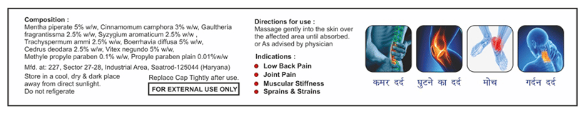 Sagius Ayugesic Ointment | Grocsy