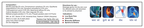 Sagius Ayugesic Ointment | Grocsy