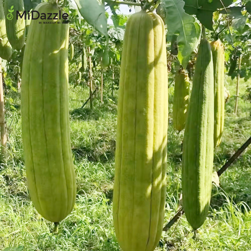 MiDazzle Loofah (Square) MIOL6105 | Grocsy