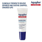 Aquaphor Eucerin Lip Repair | Grocsy