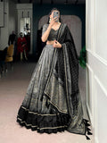 Lorenvalley Fashion Grey Tasar Silk Kalamkari Print With Lace Border Lehenga Choli with Dupatta | Grocsy