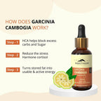 Rasayanam Garcinia Liquid | Grocsy