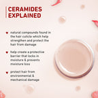 Plum Hibiscus & Ceramides Conditioner For Healthy- Long Hair | Grocsy