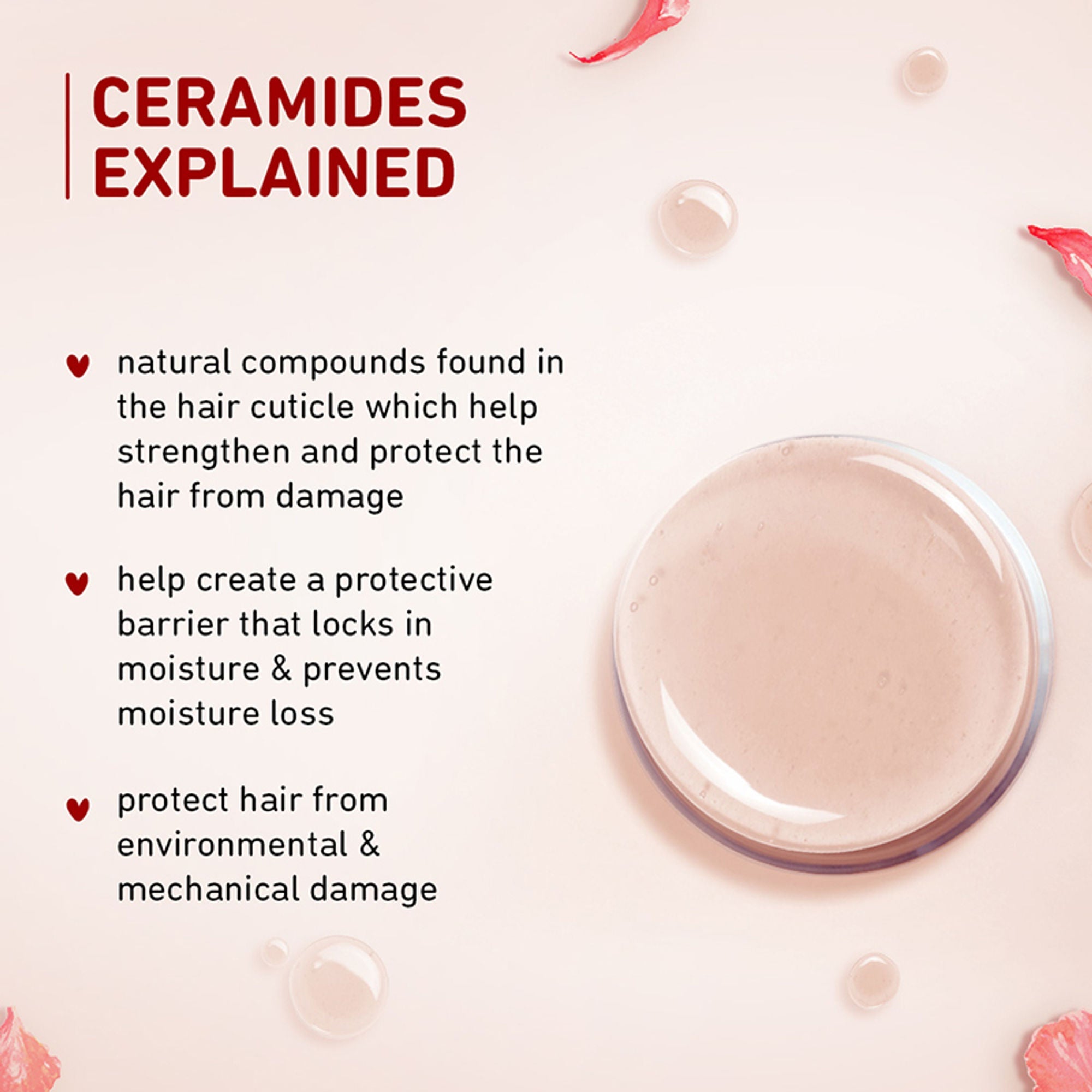 Plum Hibiscus & Ceramides Conditioner For Healthy- Long Hair | Grocsy