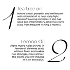 Brillare Tea Tree Hair Oil with The Goodness of Lemon & Sunflower Oil Dry | Grocsy