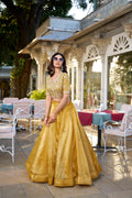 Lorenvalley Mustard Goldie Plain Lehenga with Sequins Thread Embroidery Work Choli | Grocsy