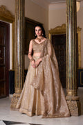 Lorenvalley Chiku Gold Crush Plain Lehenga Choli Embroidery Work with Dupatta | Grocsy