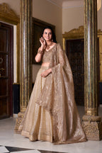 Lorenvalley Chiku Gold Crush Plain Lehenga Choli Embroidery Work with Dupatta | Grocsy