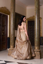 Lorenvalley Chiku Gold Crush Plain Lehenga Choli Embroidery Work with Dupatta | Grocsy