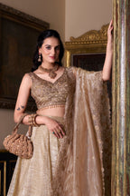 Lorenvalley Chiku Gold Crush Plain Lehenga Choli Embroidery Work with Dupatta | Grocsy