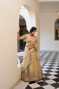 Lorenvalley Cream Gold Crush Fabric with Sequins and Thread Embroidery Work Lehenga Choli | Grocsy