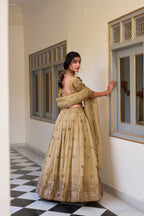 Lorenvalley Cream Gold Crush Fabric with Sequins and Thread Embroidery Work Lehenga Choli | Grocsy