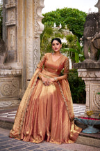Lorenvalley Fashion Rosegold Fendi Silk Sequins and Thread Embroidery Work Belt Lehenga Choli with Dupatta | Grocsy