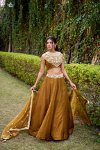 Lorenvalley Fashion Brown Chanda Silk Plain With Sequins and Thread Embroidery Work Belt Lehenga Choli with Dupatta | Grocsy