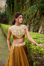 Lorenvalley Fashion Brown Chanda Silk Plain With Sequins and Thread Embroidery Work Belt Lehenga Choli with Dupatta | Grocsy