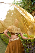 Lorenvalley Fashion Brown Chanda Silk Plain With Sequins and Thread Embroidery Work Belt Lehenga Choli with Dupatta | Grocsy