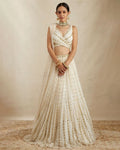 Lehenga Mart Glamorous Designer Lehenga Choli for Bridal and Bridesmaids Wedding Wear Choli | Grocsy