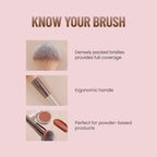 Swiss Beauty Powder Brush | Grocsy