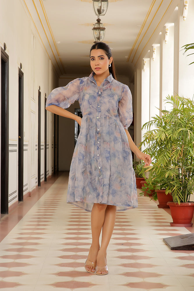 Vaasva Women Sky Blue Organza Marble Printed Dress | Grocsy