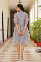 Vaasva Women Sky Blue Organza Marble Printed Dress | Grocsy