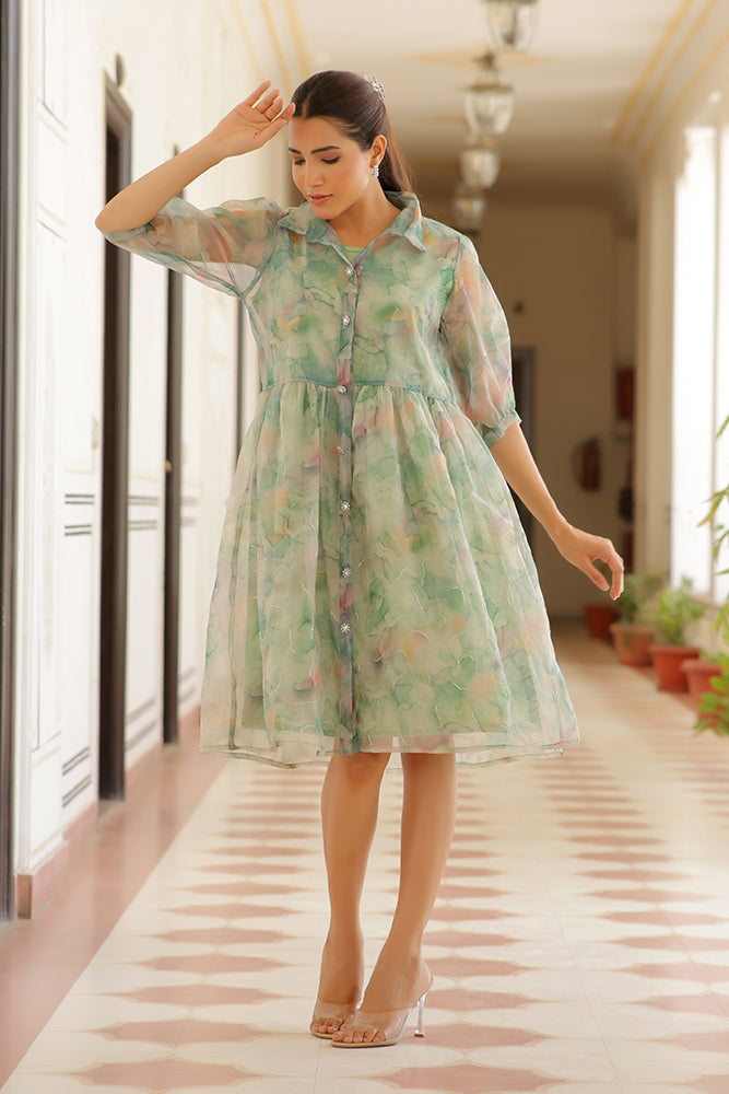 Vaasva Women Green Organza Marble Printed Dress | Grocsy