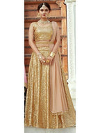 Myra Beige Soft net Lahanga | Grocsy