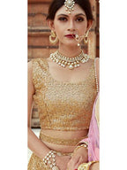 Myra Beige Soft net Lahanga | Grocsy