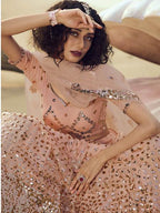 Myra Peach Embroidered Net Lehenga | Grocsy