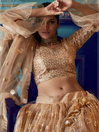 Myra Beige Heavy Embroidered Net Lehenga | Grocsy