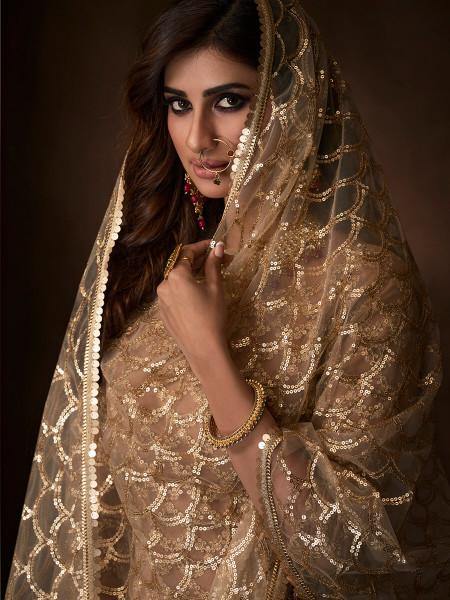 Myra Beige Soft Net Gharara Suit | Grocsy