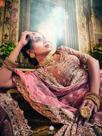 Myra Rose Taupe Georgette Embroidered lehenga | Grocsy