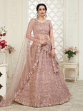 Myra Beautiful Dusty Pink Heavy Embroidered Net Lehenga | Grocsy