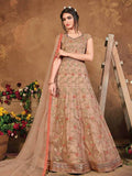 Myra Brown Butterfly Net Embroidered Anarkali Suit | Grocsy