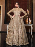 Myra Beige Net Embroidery Beautiful Gown | Grocsy