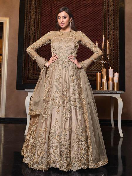 Myra Beige Net Embroidery Beautiful Gown | Grocsy