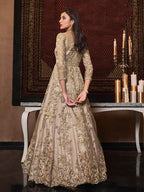 Myra Beige Net Embroidery Beautiful Gown | Grocsy