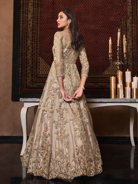 Myra Beige Net Embroidery Beautiful Gown | Grocsy