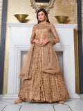 Myra Beige Net Embroidery Gown | Grocsy