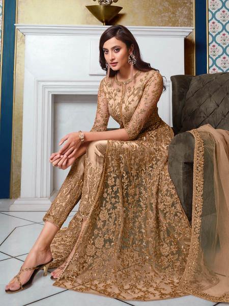 Myra Beige Net Embroidery Gown | Grocsy