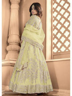 Myra Pista Butterfly Net Embroidered Anarkali Suit | Grocsy