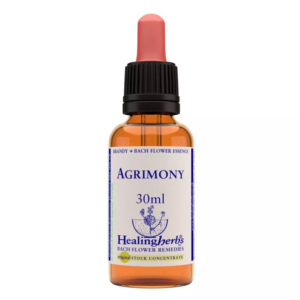 Healing Herbs Agrimony | Grocsy