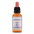 Healing Herbs Agrimony | Grocsy